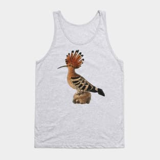 bird standing on a wood Tank Top